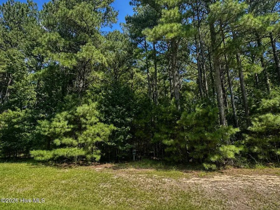 732 Batts Island Road, Edenton, NC 27932 - #3