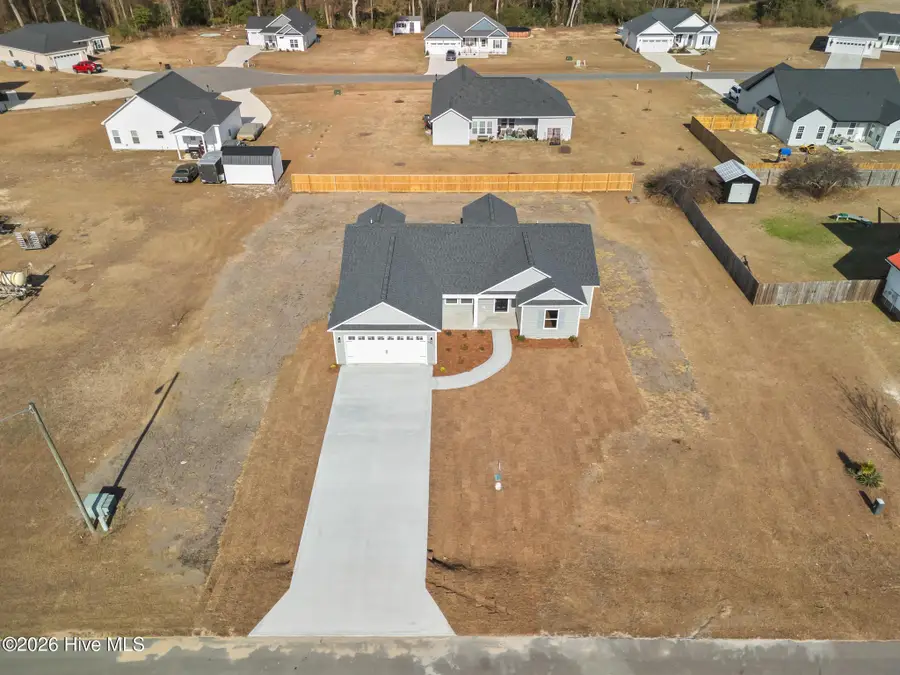3030 Falcon Court, Deep Run, NC 28525 - #2