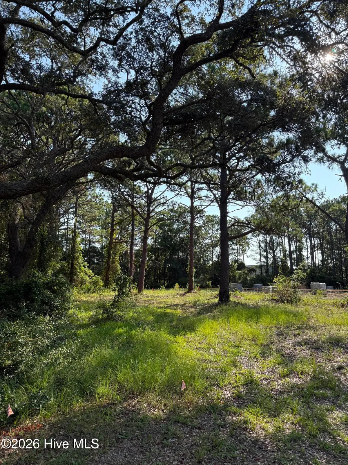 308 N Fodale Avenue, Southport, NC 28461 - #1