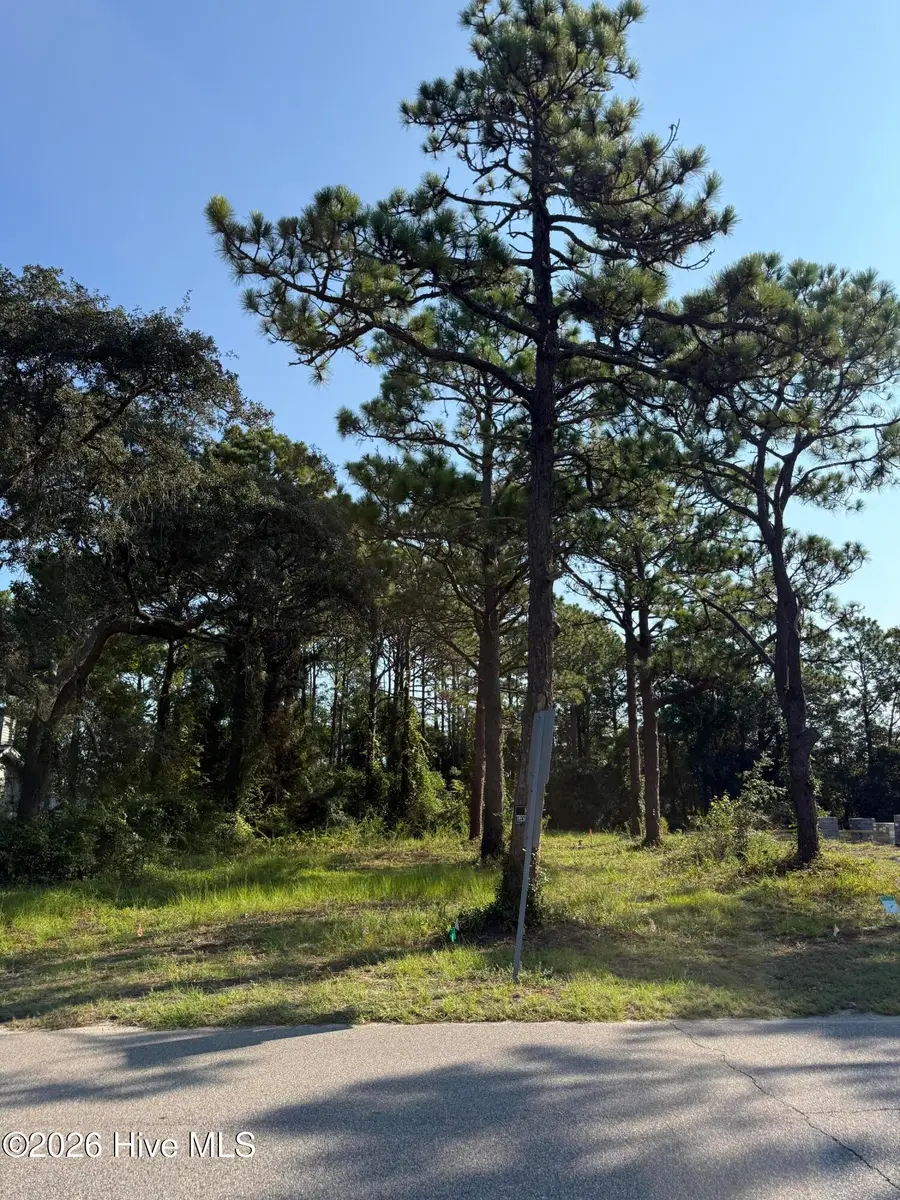 308 N Fodale Avenue, Southport, NC 28461 - #2