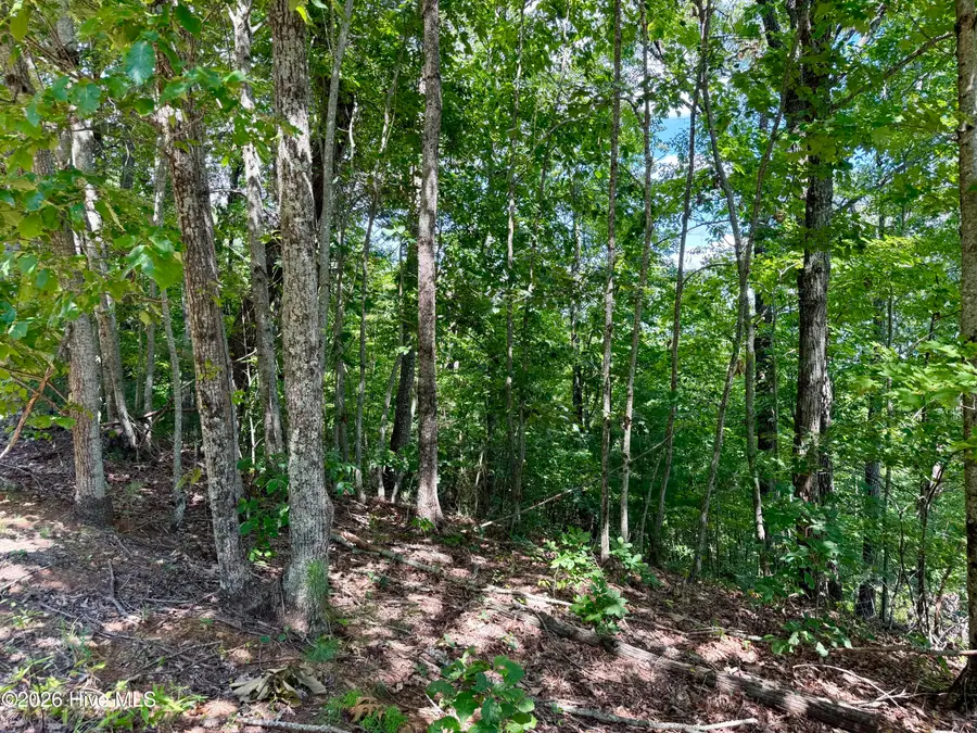 9 Sahkanaga Drive, Murphy, NC 28906 - #2