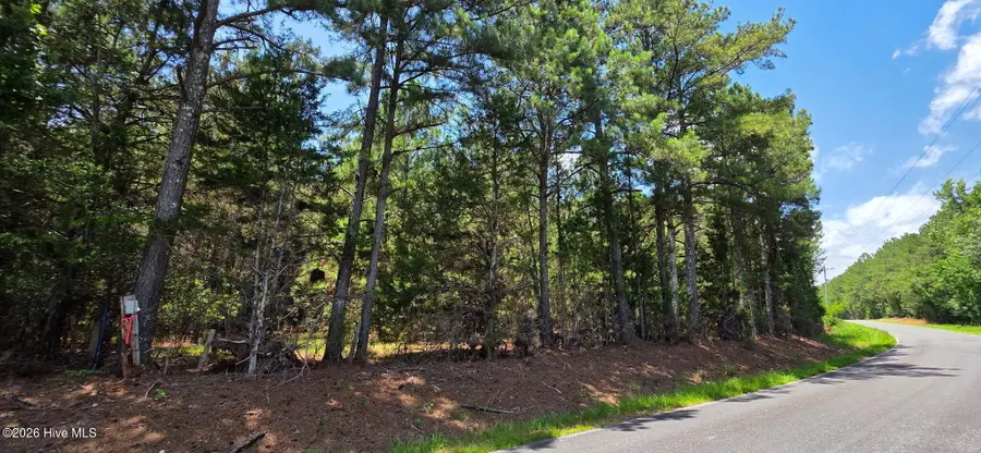 5.5c Chestnut Ridge Road, McCormick, SC 29835 - #2