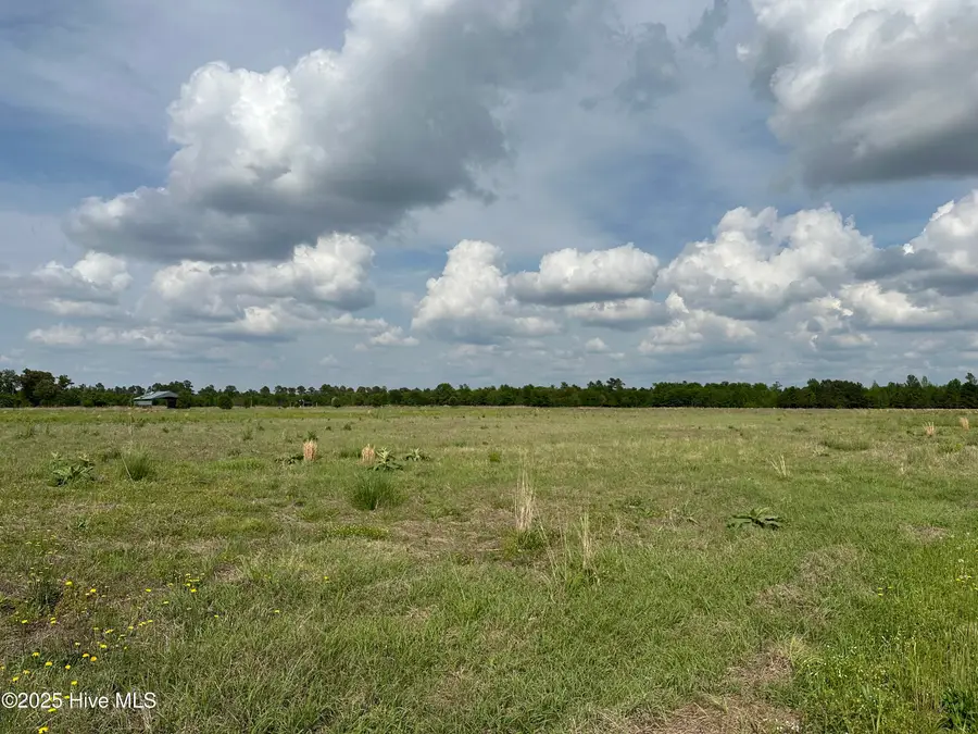 Tract 2 Mcgirt Road, Maxton, NC 28364 - #2