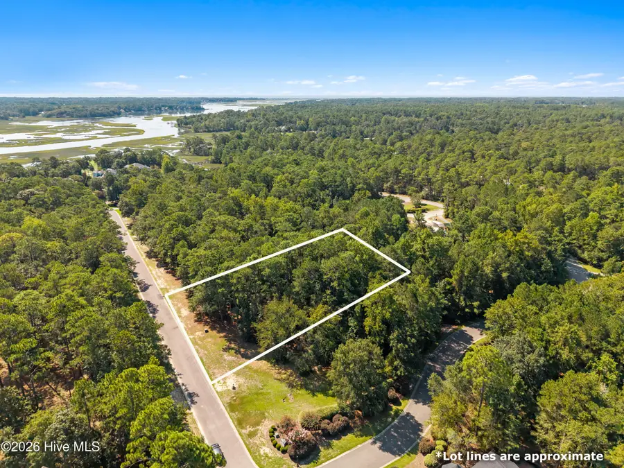 2102 Arnold Palmer Drive Sw, Shallotte, NC 28470 - #3