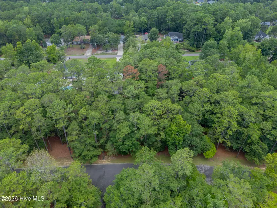 3716 Pine Brook Trail, Shallotte, NC 28470 - #3