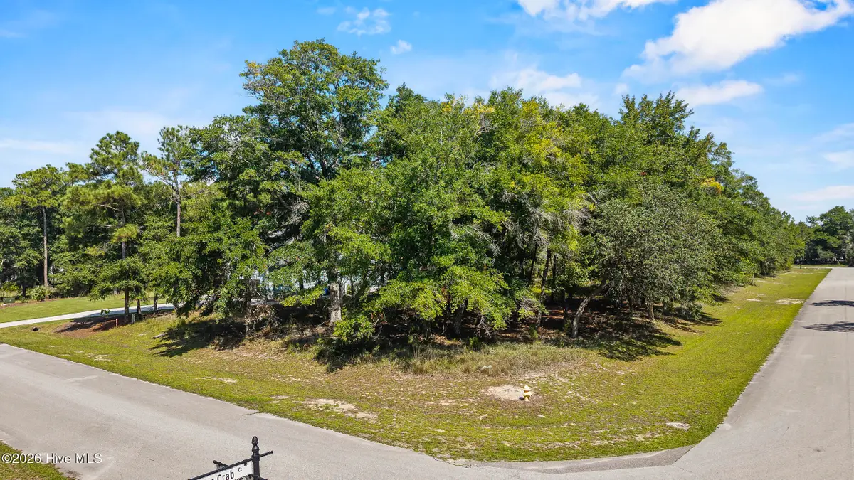 3362 Stone Crab Court Sw, Supply, NC 28462 - #1