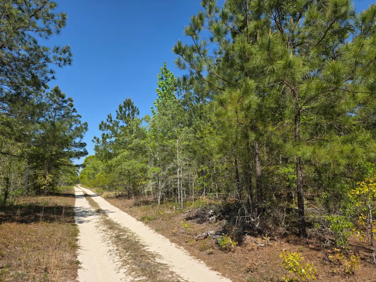 1a Briarwood Drive, Williston, SC 29853 - #1