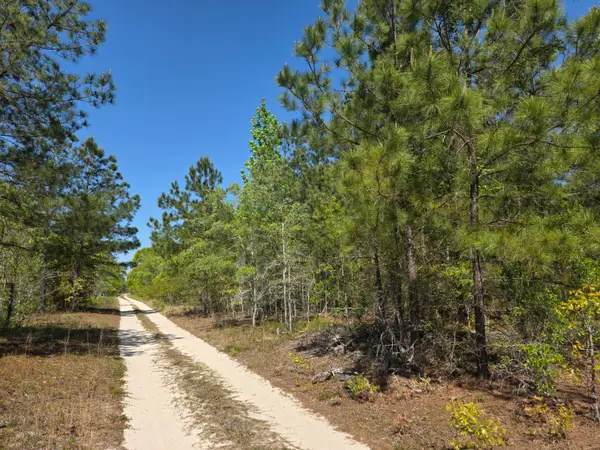 4a Briarwood Drive, Williston, SC 29853