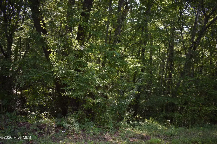 Lot 31 Ranger Road, Murphy, NC 28906 - #2