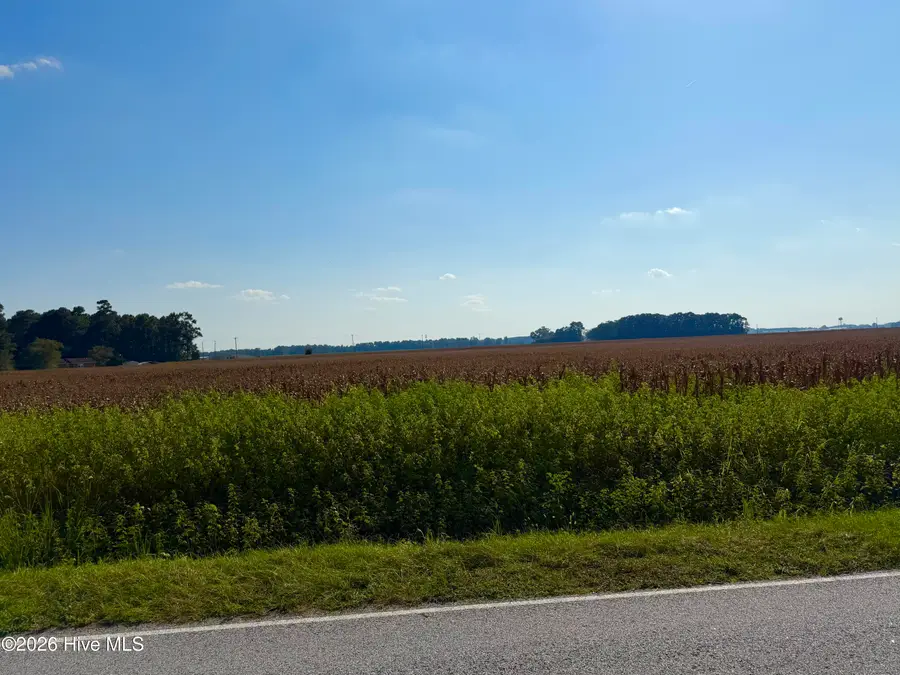 0 Davis Road, Mount Olive, NC 28365 - #3