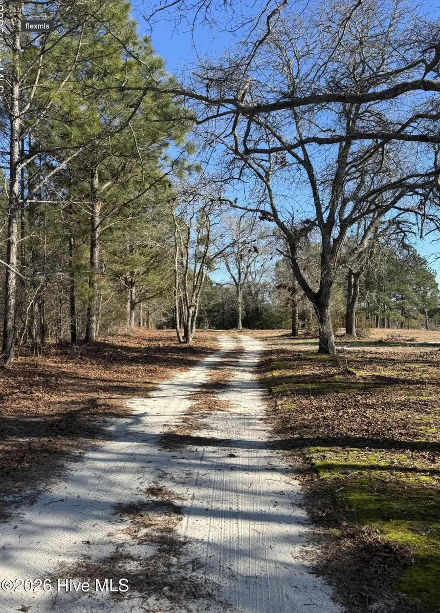490 Springhill Church Road, Hamlet, NC 28345 - #3