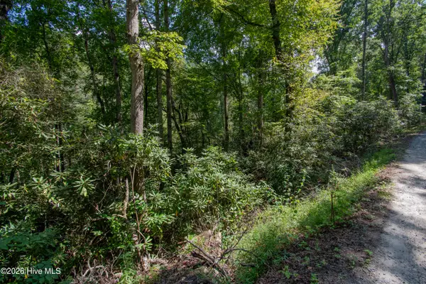 8 Snowbird Woods Road, Robbinsville, NC 28771