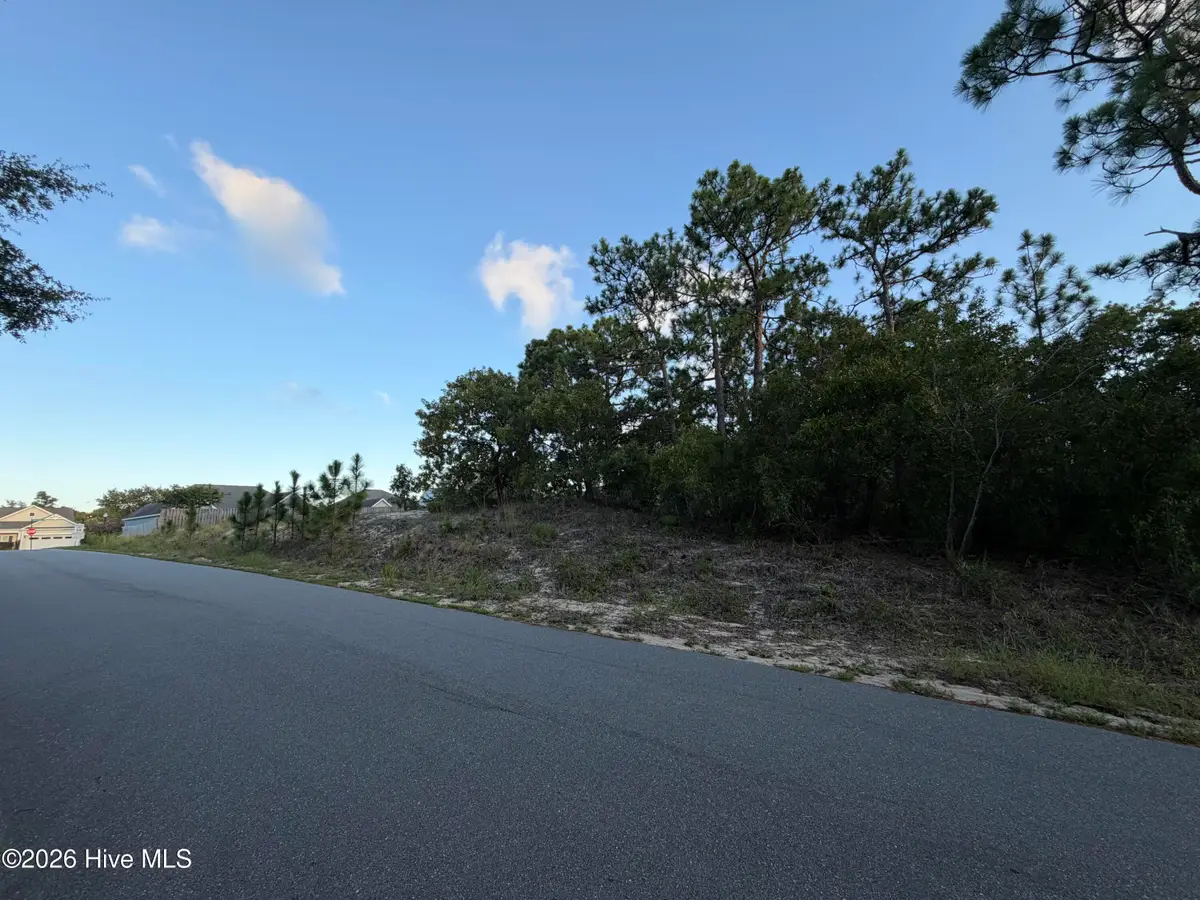 6061 Shiloh Drive, Wilmington, NC 28409 - #1