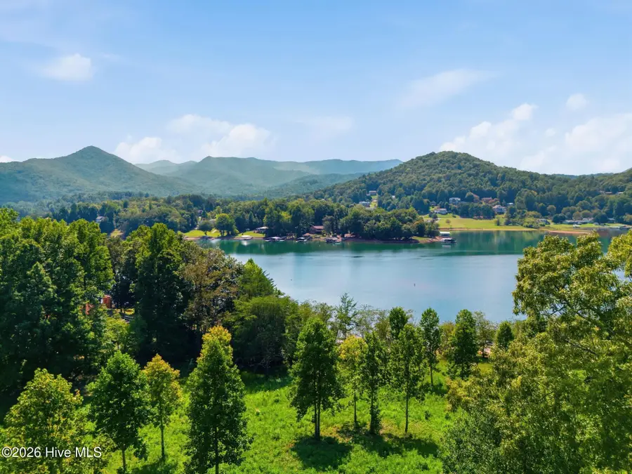 314 Lakeside Drive, Hiawassee, GA 30546 - #2