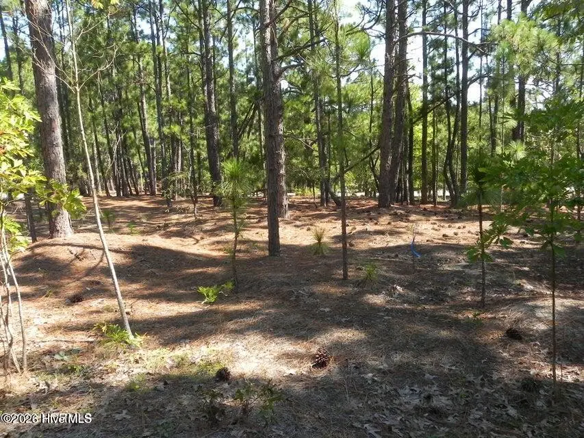 108 Dartmoor Lane, West End, NC 27376 - #2