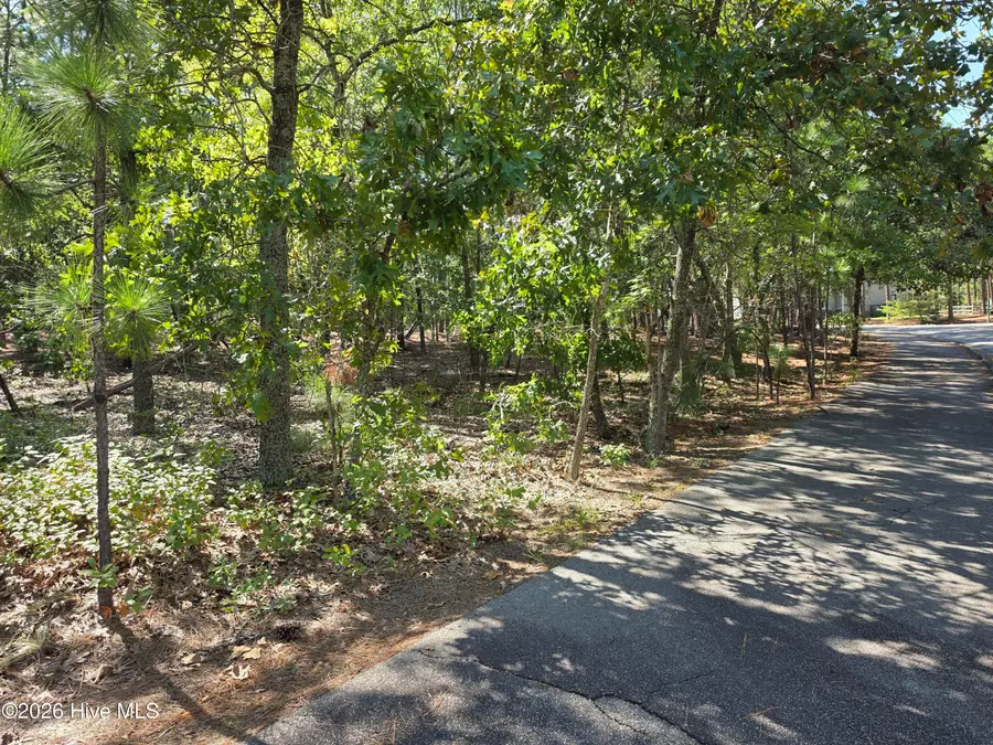 108 Dartmoor Lane, West End, NC 27376 - #3
