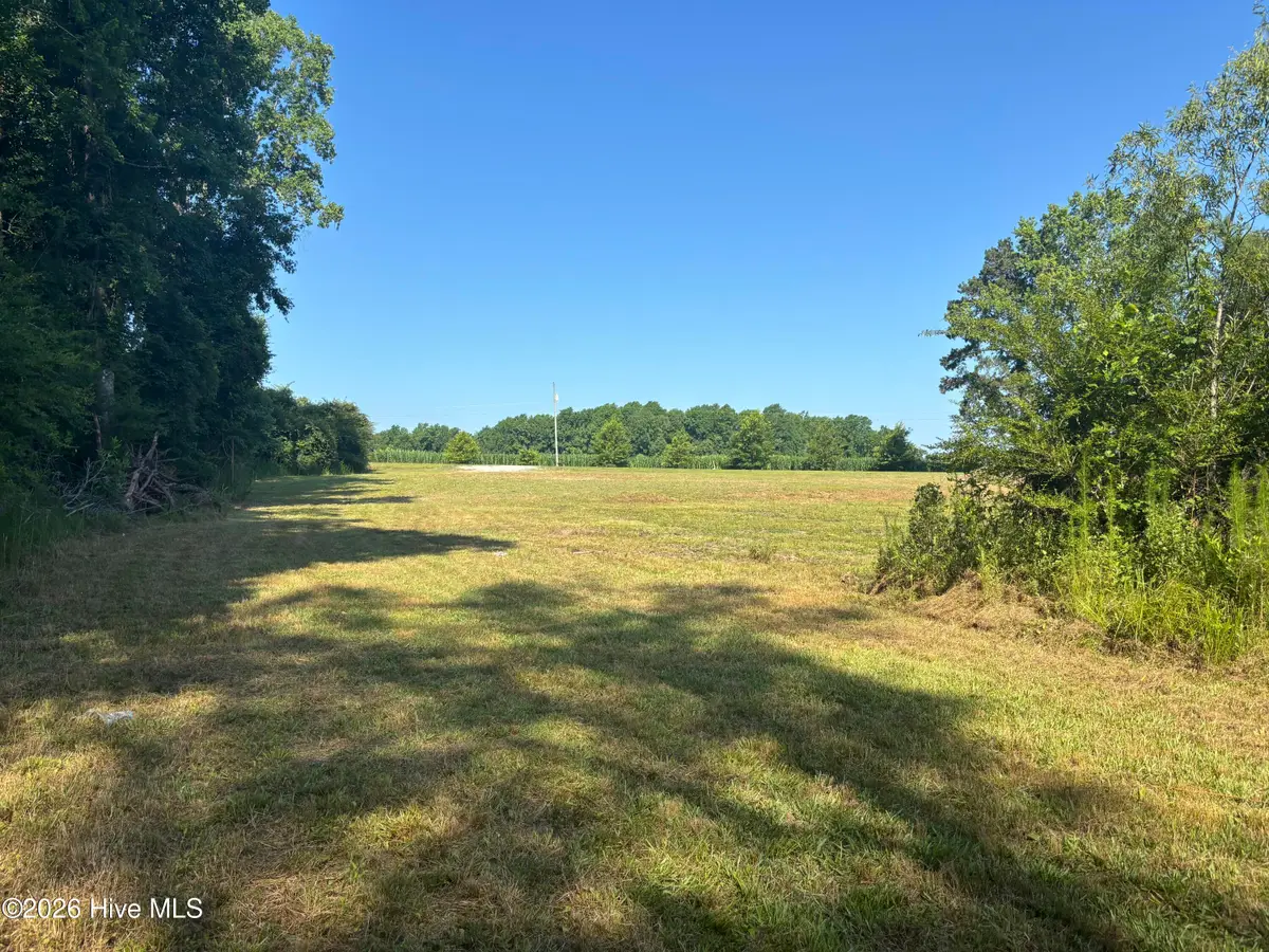 4676 Pleasant Plains Church Road, Whiteville, NC 28472 - #1