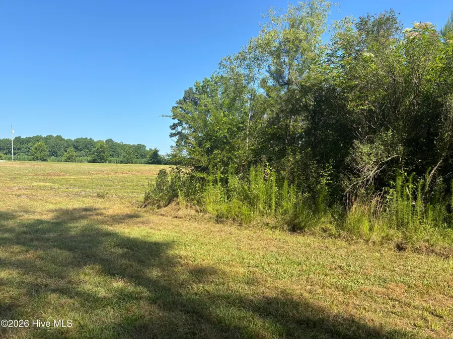 4676 Pleasant Plains Church Road, Whiteville, NC 28472 - #3
