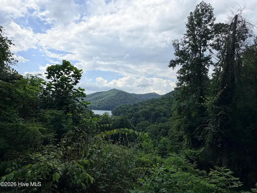 227 Aquone Overlook Ridge, Topton, NC 28781 - #2