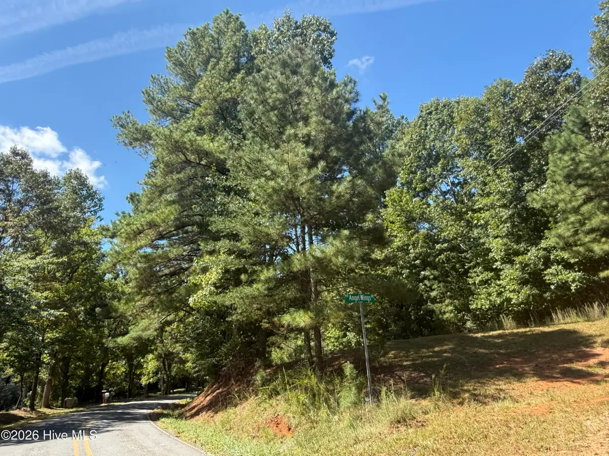 - Angel Wings Drive, Murphy, NC 28906 - #1