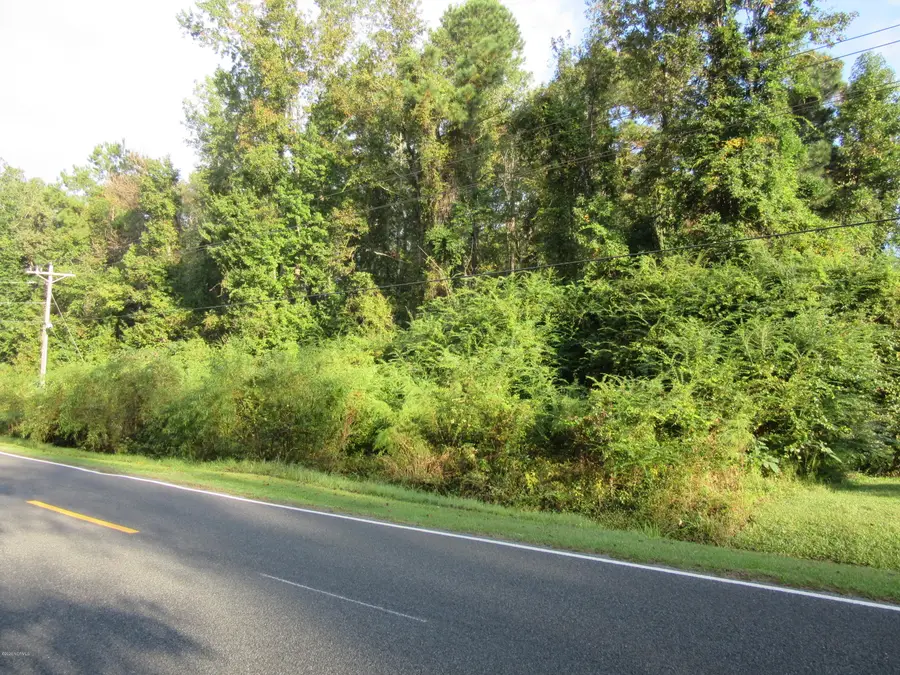 Near 1671 Old Wilmington Road, Whiteville, NC 28472 - #2