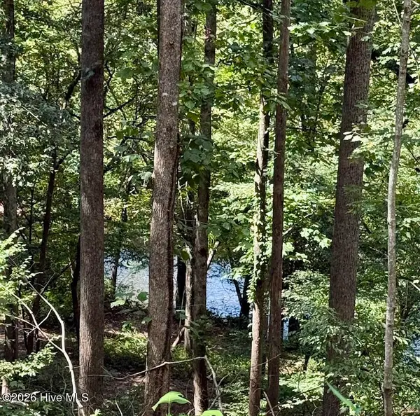 Lots 5 & 6 Jasmine Drive, Marble, NC 28905