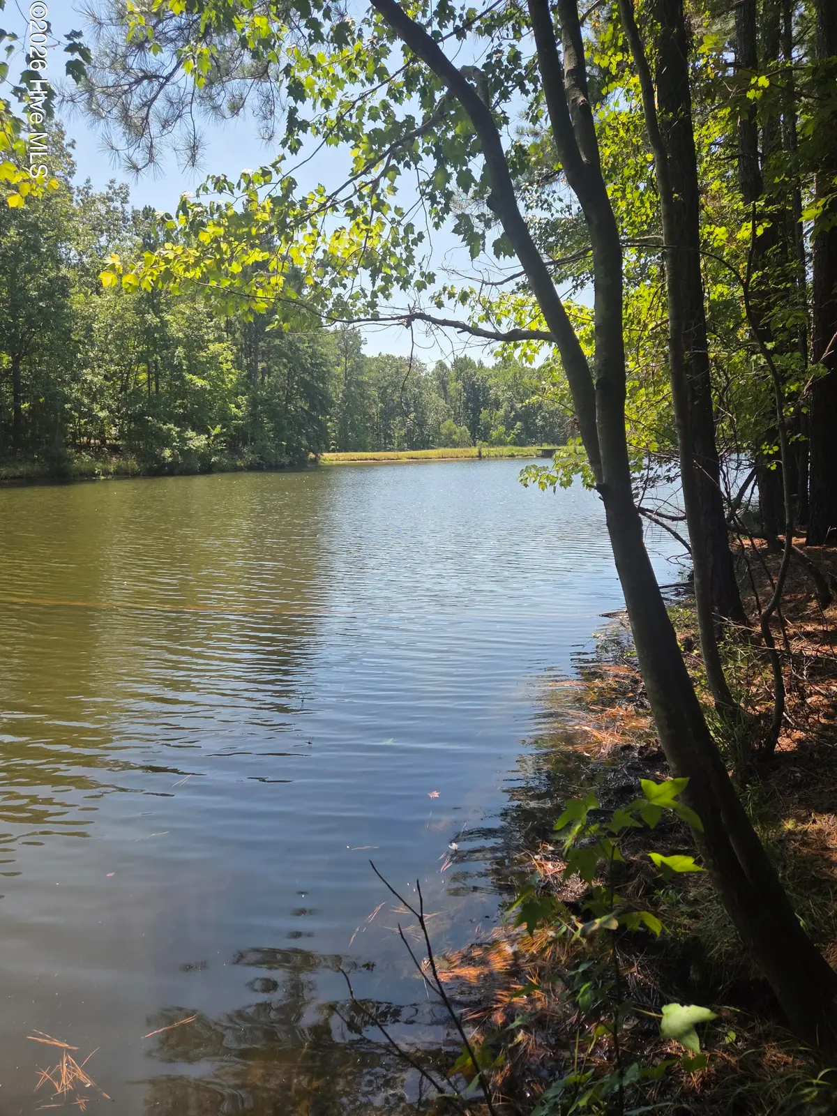 Lot 45b Appaloosa Lake Drive, Carthage, NC 28327 - #1