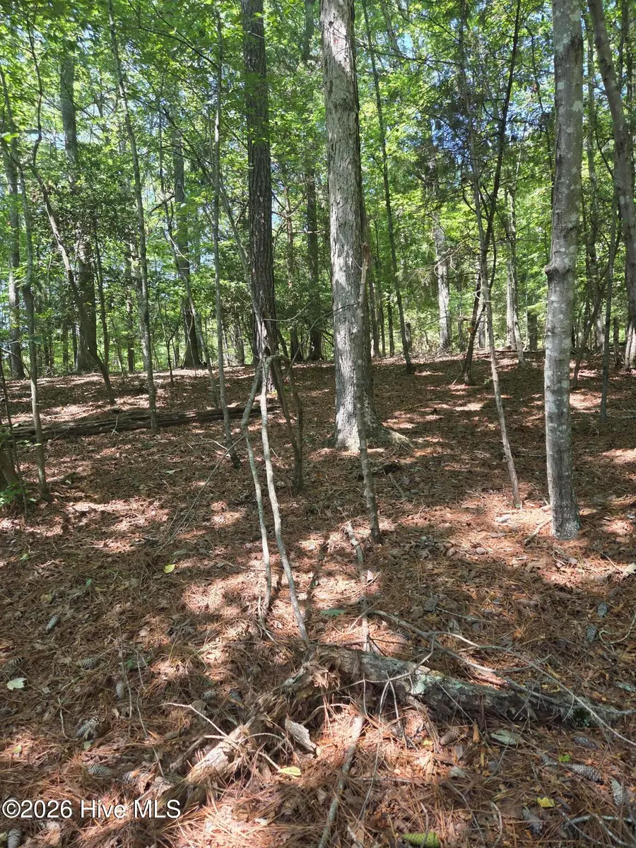 Lot 45b Appaloosa Lake Drive, Carthage, NC 28327 - #3