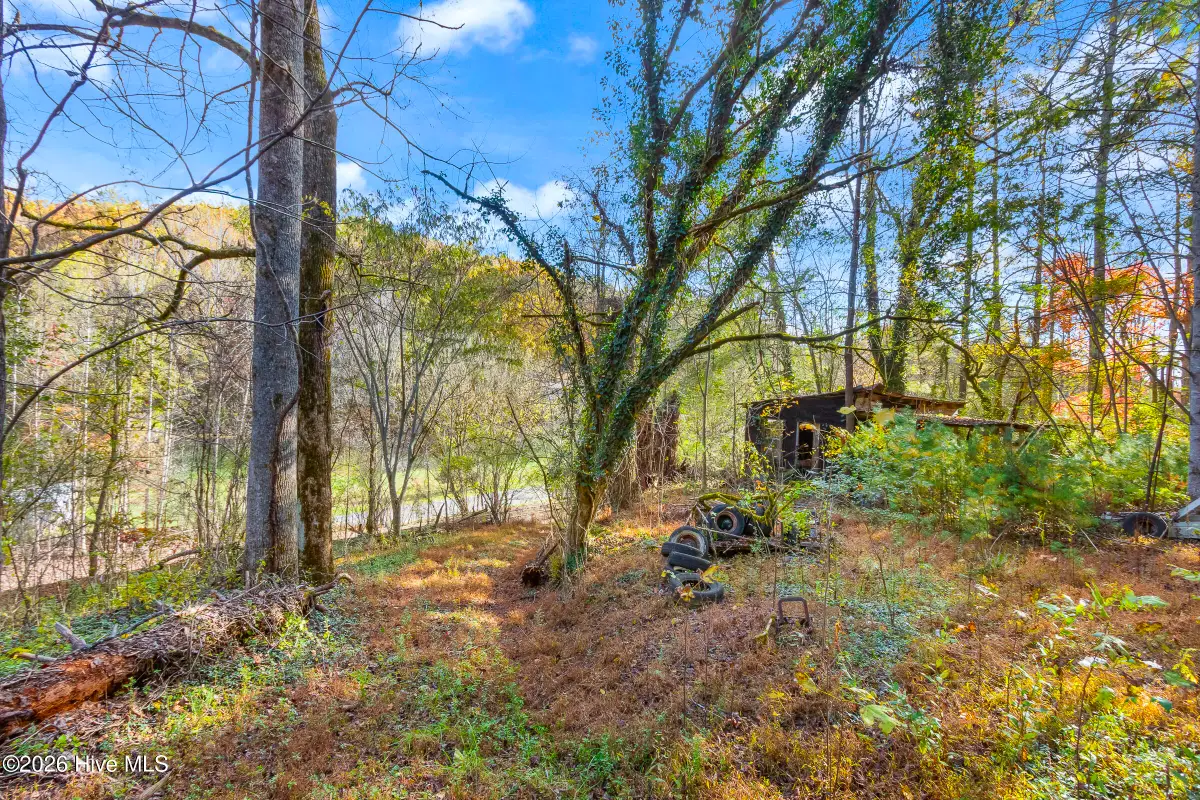 349 Regal Road, Murphy, NC 28906 - #1