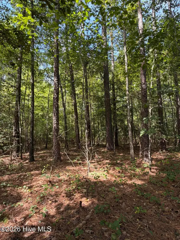 1d Gelding Gap Lane, Carthage, NC 28327