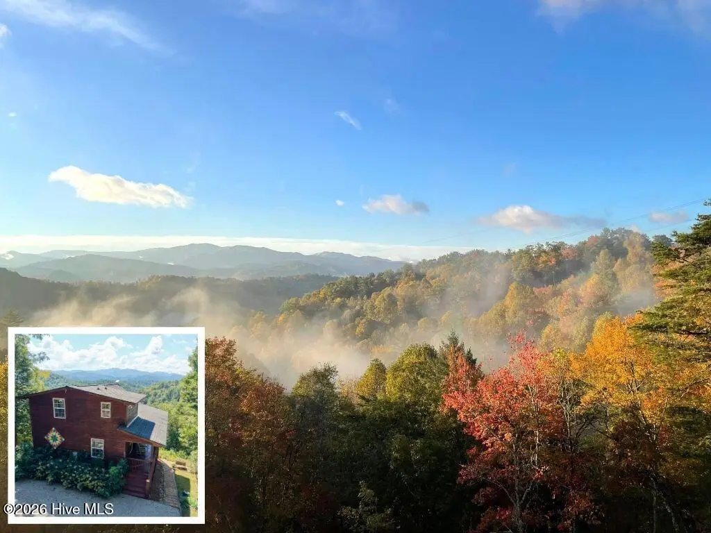 455 Raymond Wilson Road, Topton, NC 28781 - #1