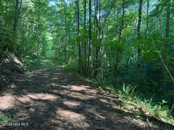 5 Tyler Lane, Marble, NC 28905