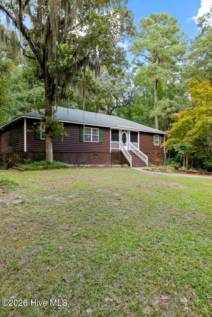 509 Maize Court, Hubert, NC 28539 - #2