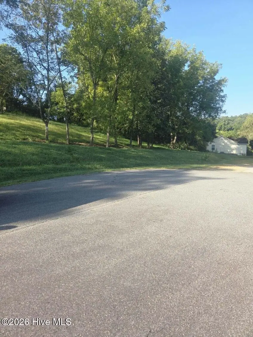 Lt 23 Mcglamery Farm Drive, Hayesville, NC 28904 - #1