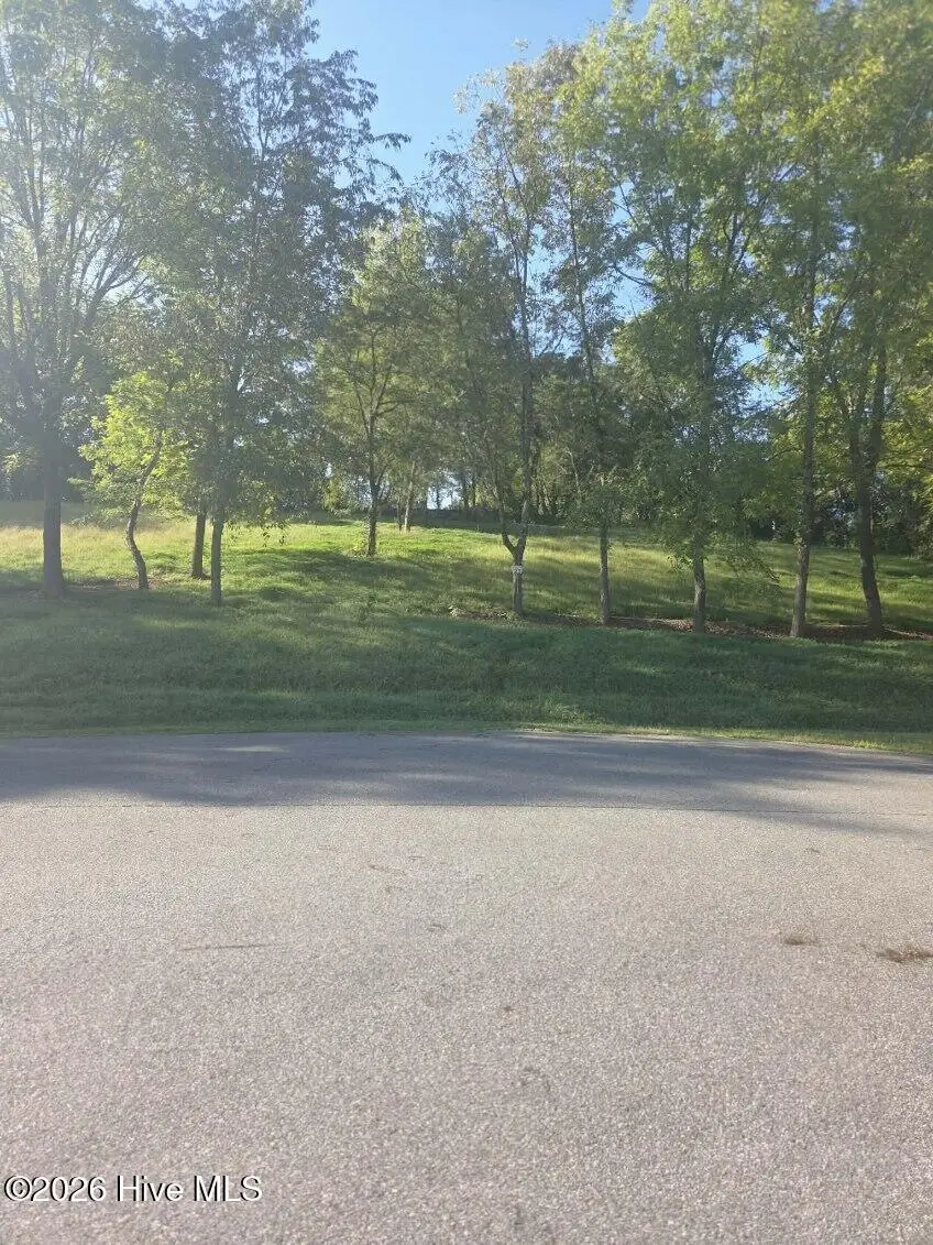 Lt 23 Mcglamery Farm Drive, Hayesville, NC 28904 - #2