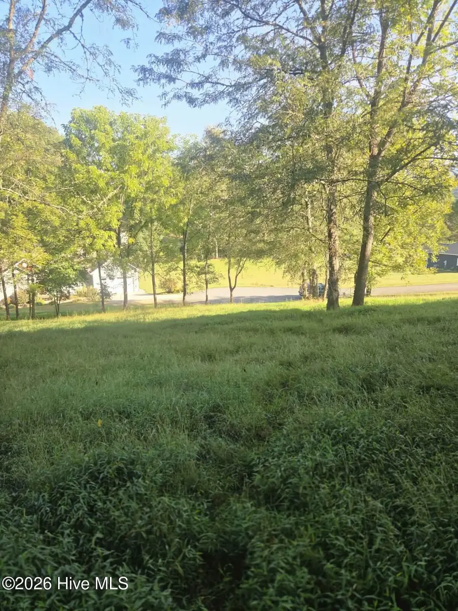 Lt 23 Mcglamery Farm Drive, Hayesville, NC 28904 - #3