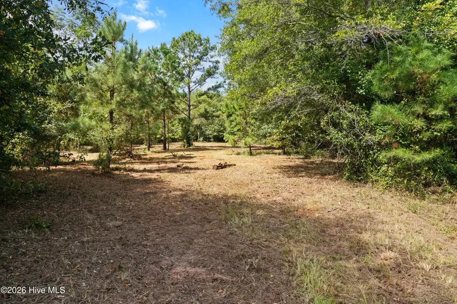 205 Campbell Circle, Hephzibah, GA 30815 - #2