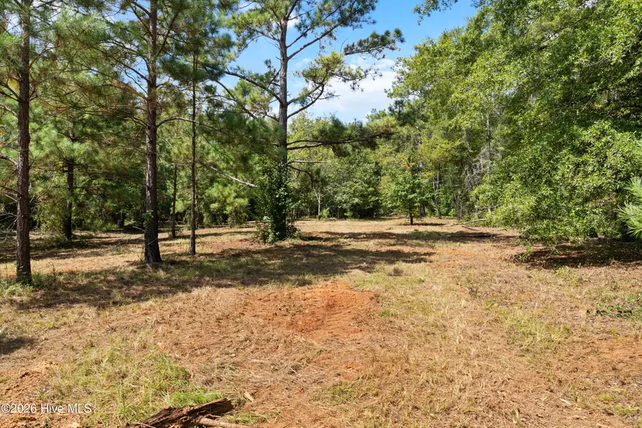 205 Campbell Circle, Hephzibah, GA 30815 - #3