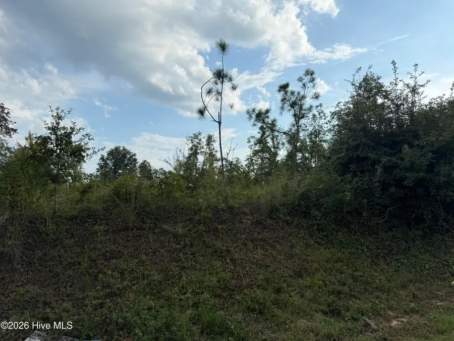 1576 Hephzibah - Mcbean Road, Hephzibah, GA 30815 - #2