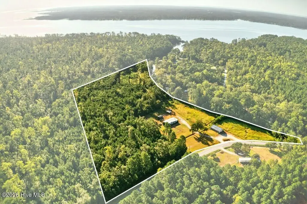 1402 Lynchs Beach Loop Road, Bayboro, NC 28515 - #1
