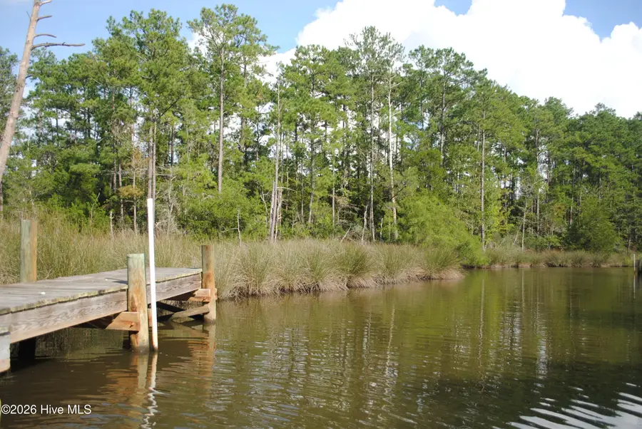 1402 Lynchs Beach Loop Road, Bayboro, NC 28515 - #3