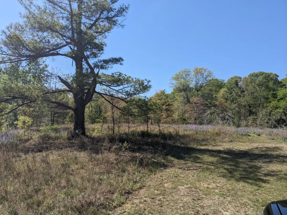 4781 Deans Bridge Road, Blythe, GA 30805 - #1