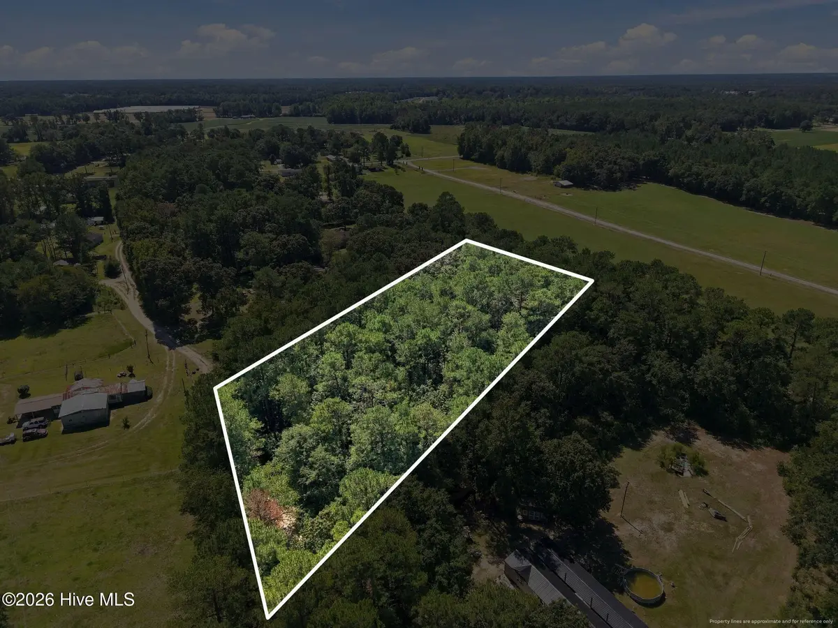 163 John Hall Farm Lane, Beulaville, NC 28518 - #1