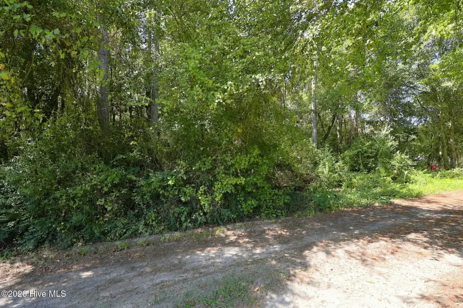 163 John Hall Farm Lane, Beulaville, NC 28518 - #2
