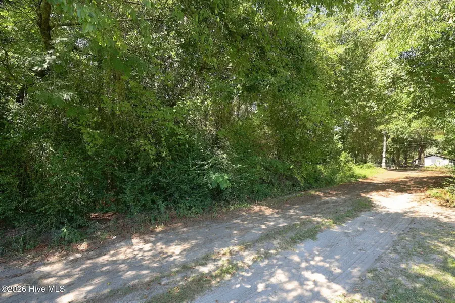 163 John Hall Farm Lane, Beulaville, NC 28518 - #3