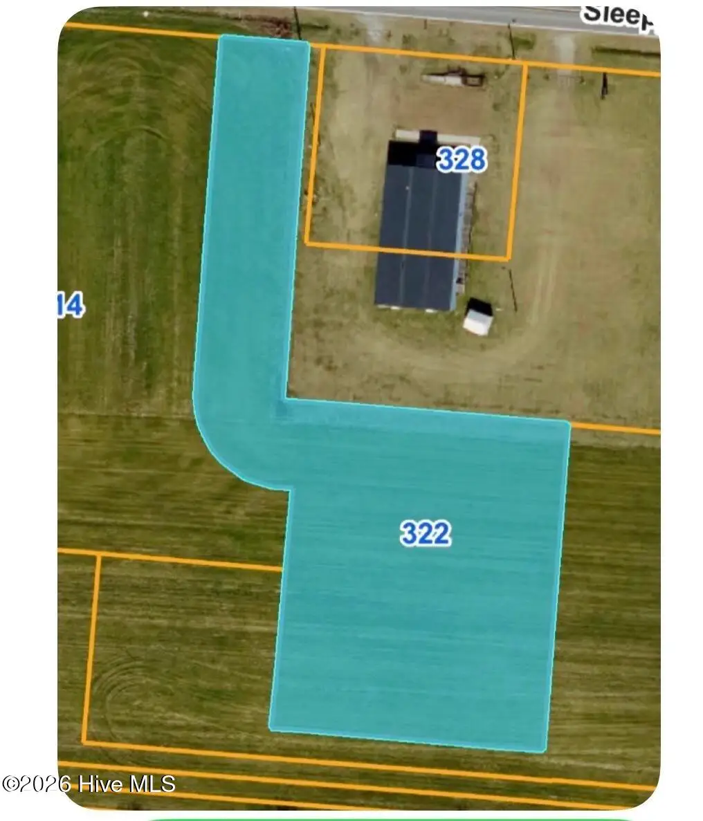 322 Sleepy Creek Road, Dudley, NC 28333 - #1
