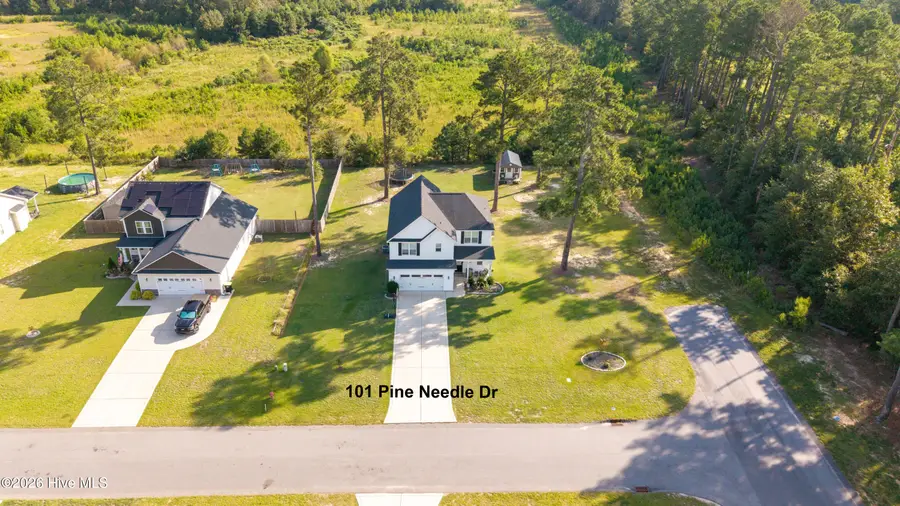 101 Pine Needle Drive, Salemburg, NC 28385 - #2