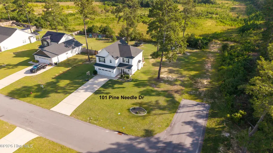101 Pine Needle Drive, Salemburg, NC 28385 - #3