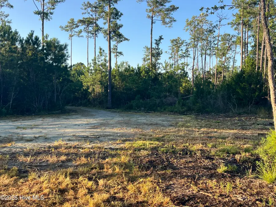 555 Upper Neck Road, Bayboro, NC 28515 - #3