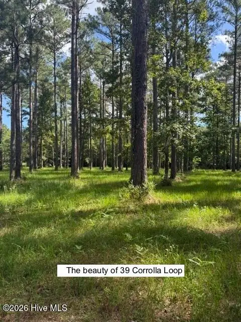 39 Corrolla Loop Road, Oriental, NC 28571